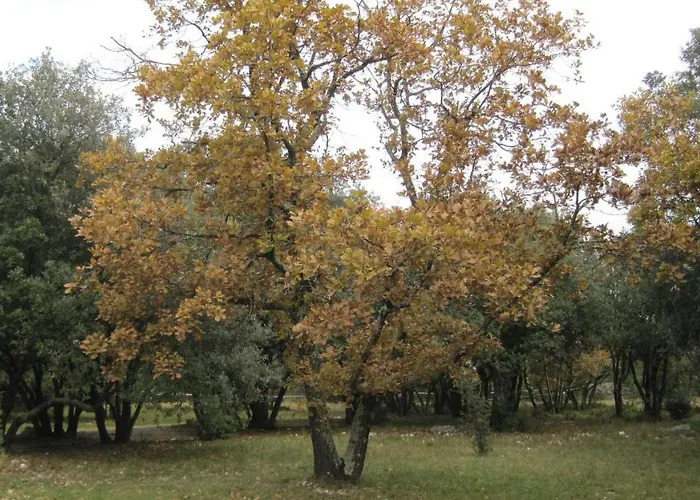 Vakantiehuis Sous Les Chenes *